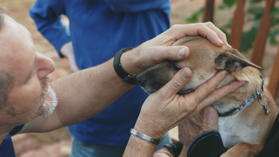 Vet Care Anywhere Pic 2 - Fremantle Vet