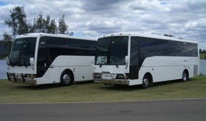 Busy Buses & Coaches Sydney Pic 3