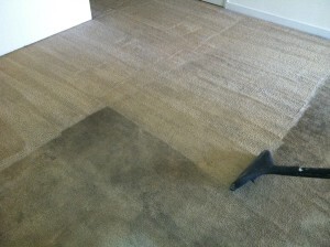 Carpet Cleaning Kedron Pic 2