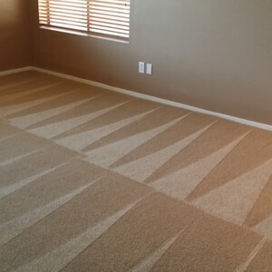 Carpet Cleaning Kedron Pic 3