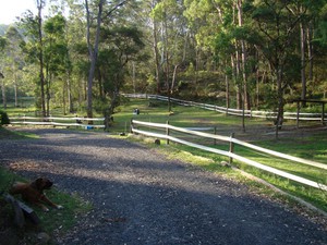 Chop-A-Weed Pic 5 - secure fencing for horses