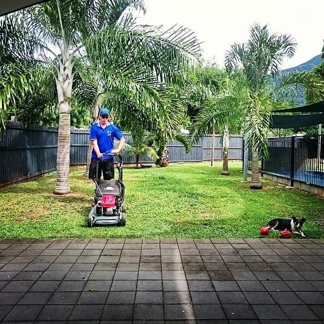 James' Lawn & Garden Care Pic 1