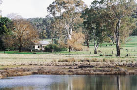 Tungali Cottage Pic 1 - Tungali Cottage Williamstown Barossa South Australia