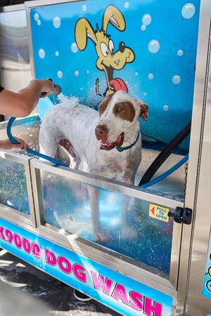 Car Lovers Express Carwash Pic 3