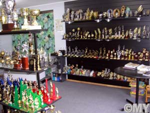 Accolades Awards Hunter Valley Pic 1 - more of our range of trophies on display