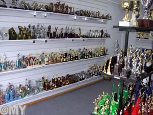 Accolades Awards Hunter Valley Pic 2 - some of the huge range of trophies we have instore