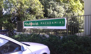 Medowie Macadamias Pic 3