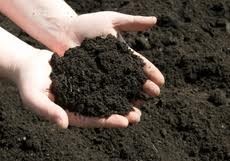 Gold Coast Gravel and Soil Supplies Pic 1 - Premium Topsoil