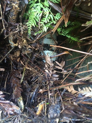 Point Plumbing Pic 3 - broken sewer pipe on the side of a cliff in Bilgola