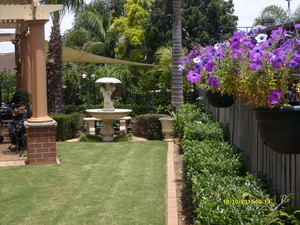 Gardening Plus Pic 3