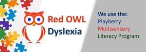 Red OWL Dyslexia Pic 2 - Red OWL Dyslexia The Playberry Multisensory Literacy Program