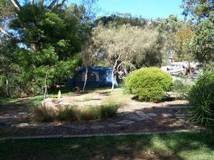 Caravan and Camping Sydney Pic 5 - Large tent sites in Sydney caravan park