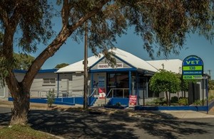 Salisbury Highway Veterinary Surgery Pic 2