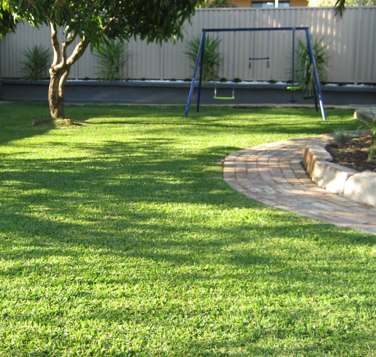 JB's Complete Lawn & Garden Care Pic 1 - does your lawn look like this