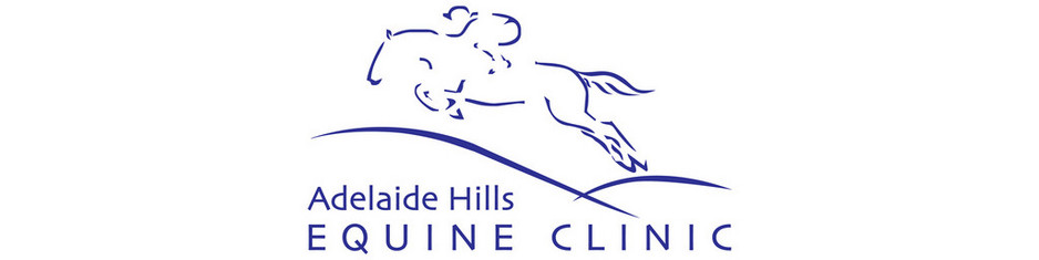 Adelaide Hills Equine Clinic Pic 1