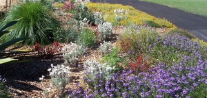 Hardacre Landscape Solutions Pic 2 - Beautiful native cottage gardens created and maintained