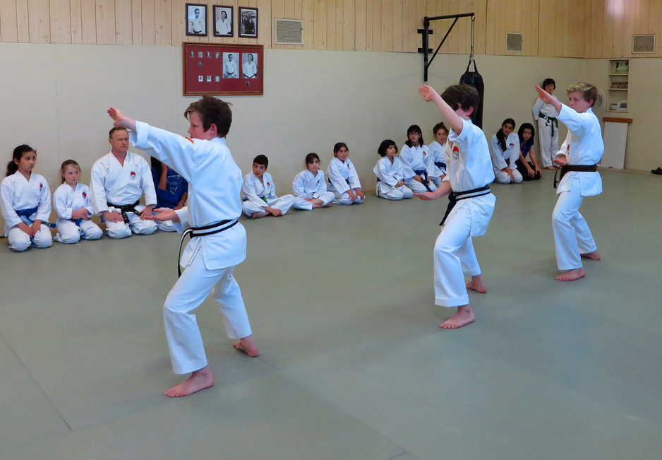 Heiko Ryu Karate Pic 2