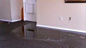 OZ Flood Damage Restoration Hobart Pic 2