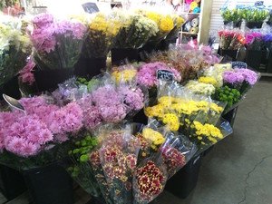 Toowoomba Flower Market Pic 2