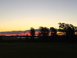 Kempsey Macleay Bird Club Pic 2