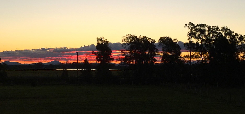 Kempsey Macleay Bird Club Pic 1