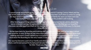 K9 Specialist Training and Rehabilitation Centre Pic 5