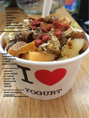 White Cow Greek Frozen Yogurt-Artisan Gelato Pic 5 - Fresh yogurt is also available with your choice of toppings