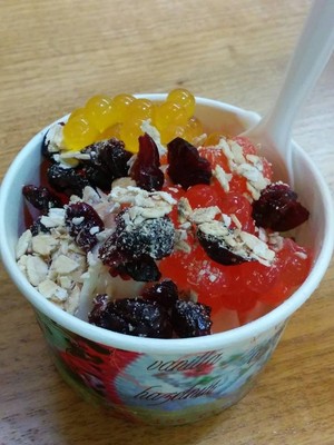 White Cow Greek Frozen Yogurt-Artisan Gelato Pic 2 - Look at the toppings they look amazing