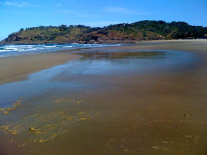 Yarrahapinni Homestead Pic 3 - Grassy Head Beach