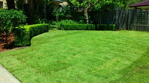 Garden View Landscaping (NSW) Pty Ltd Pic 3