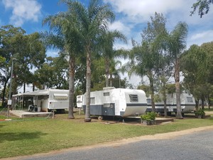 Rose City Caravan Park Pic 4 - Onsite budget vans