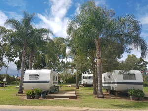 Rose City Caravan Park Pic 5 - Onsite budget vans