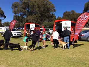 Jim's Dog Wash Pic 5 - Queuing up to get their pooches pampered