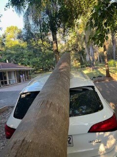 Gde Tree Services Pic 4 - Emergency Tree Removal