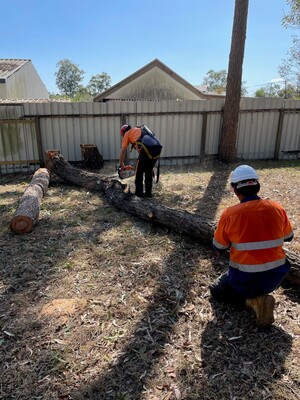 Gde Tree Services Pic 5 - Tree Lopping Logan