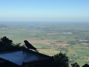 The Lookout Cambewarra Mountain Pic 3