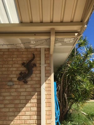 Sky's the Limit Ceilings Pic 3 - Eave Repairs