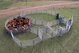 Farm Fencing Direct Pic 1 - Portable Stock Yard