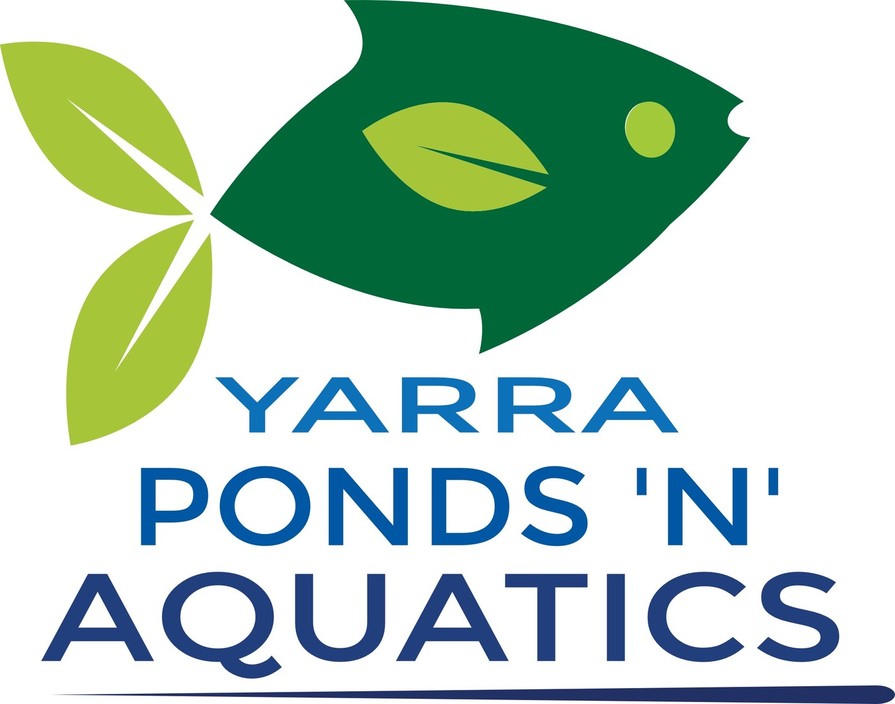 Yarra Ponds 'n' Aquatics Pic 2