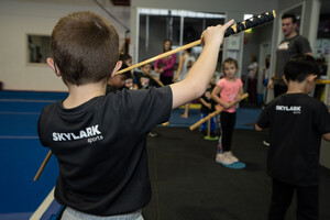 Skylark Sports Lynbrook Pic 3