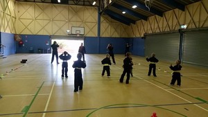 Phoenix Arts Martial Arts Pic 3 - Some students are trying out some new activities