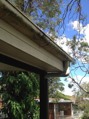 Clean The World Pic 5 - St Lucia Guttering Before