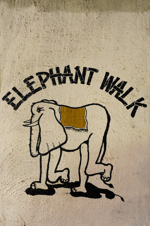 The Elephant Walk Pic 2