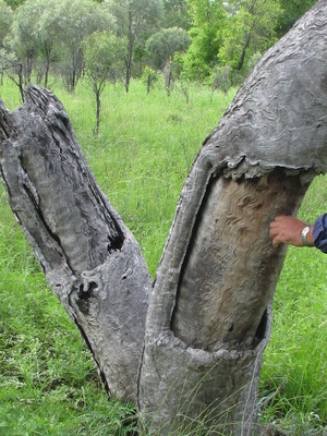 Archaeo Cultural Heritage Services Pic 3 - Site assessment and long term management