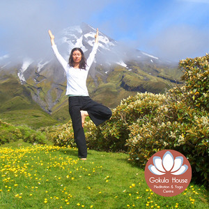 Australian School of Meditation & Yoga - Gokula House Pic 3 - Yoga Melbourne