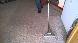 Carpet Cleaning Chifley Pic 3