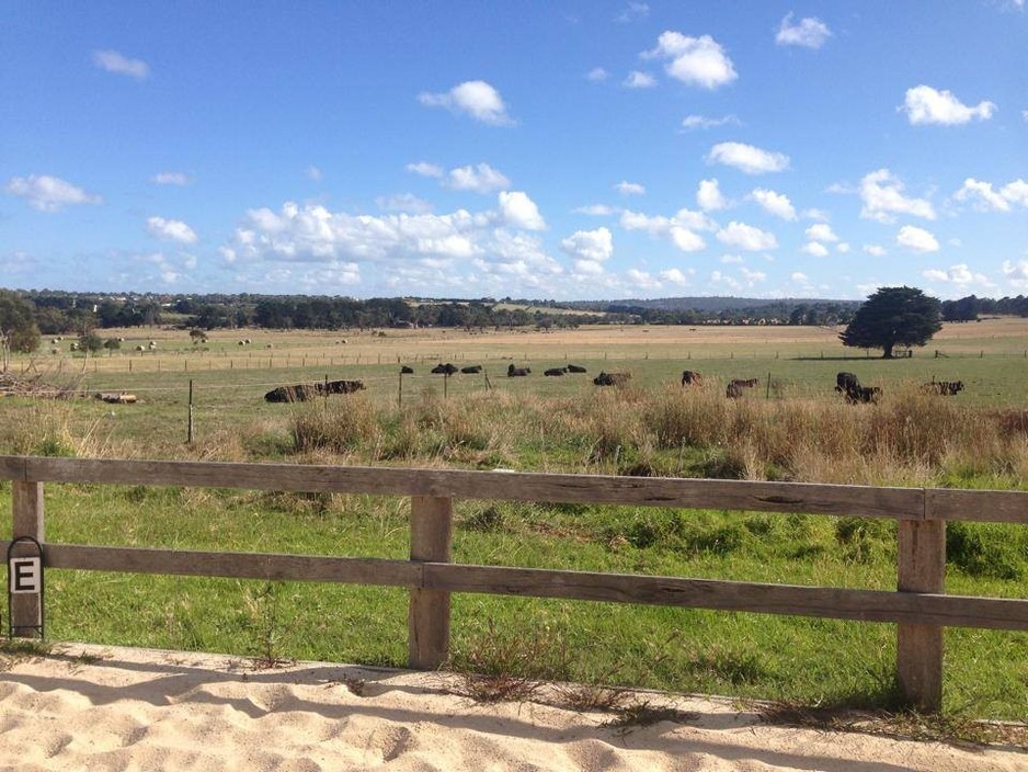 Airlie Farm Retreat Pic 1 - The rolling farmland