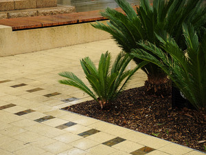 Paradise Garden Care Pic 3 - landscaping service gold coast