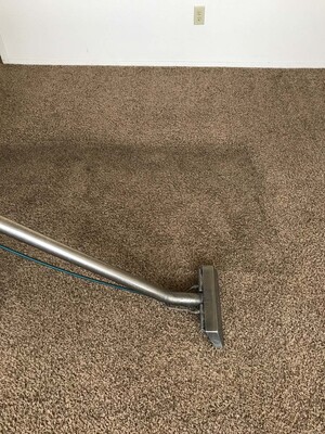 Carpet Cleaning Greenslopes Pic 3