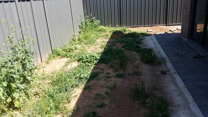 Regen Property Group Gardening Services Pic 4 - Before Shot Garden Landscaping RPG